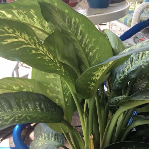 Meet your Posher, Andy - Picture 7 of 8